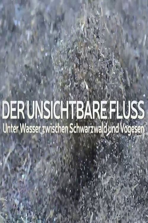 Un fleuve invisible poster