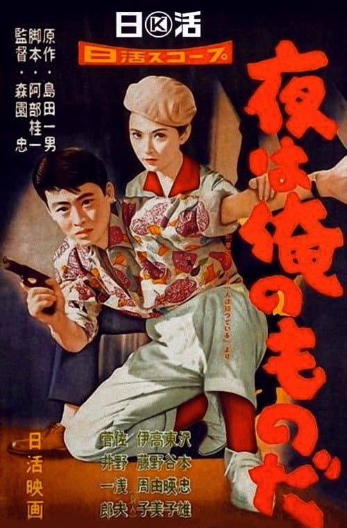 The Night is Mine poster