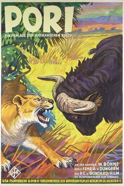 Pori poster