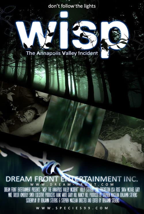 Wisp poster