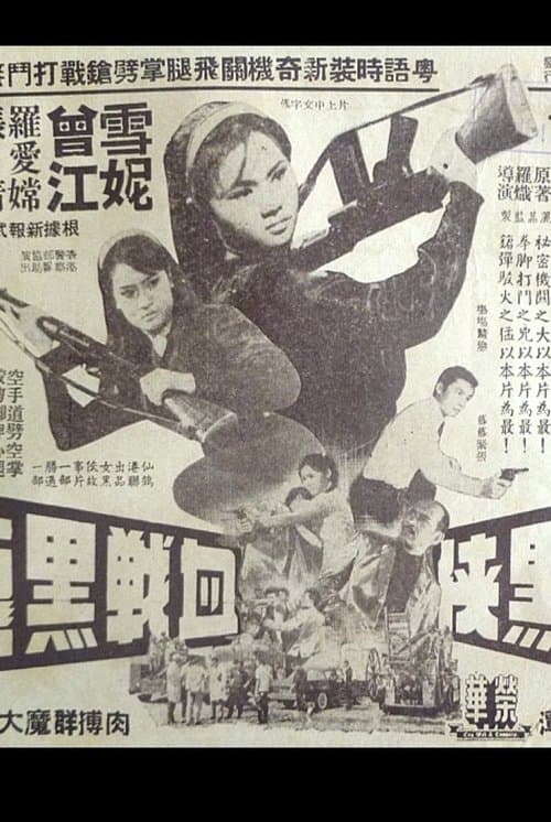 The Woman in Black and the Black Dragon poster