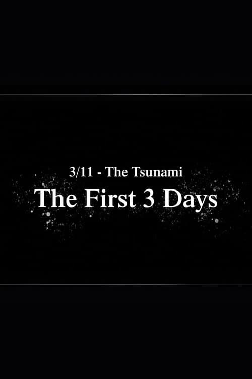 3/11 - The Tsunami: The First 3 Days poster