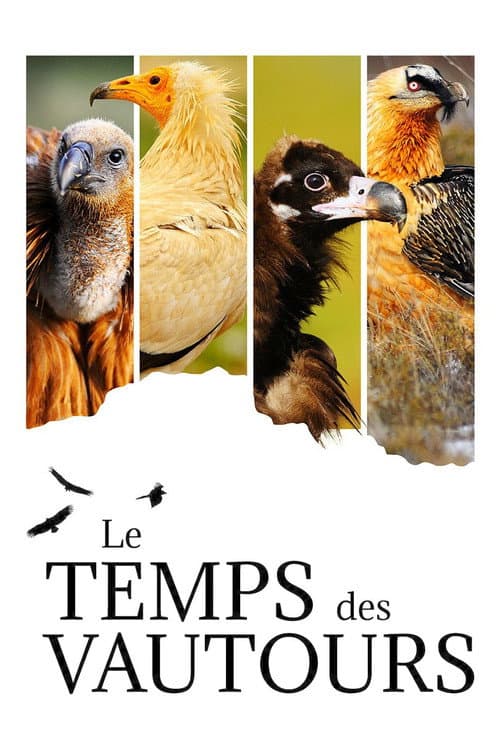 Le Temps des vautours poster