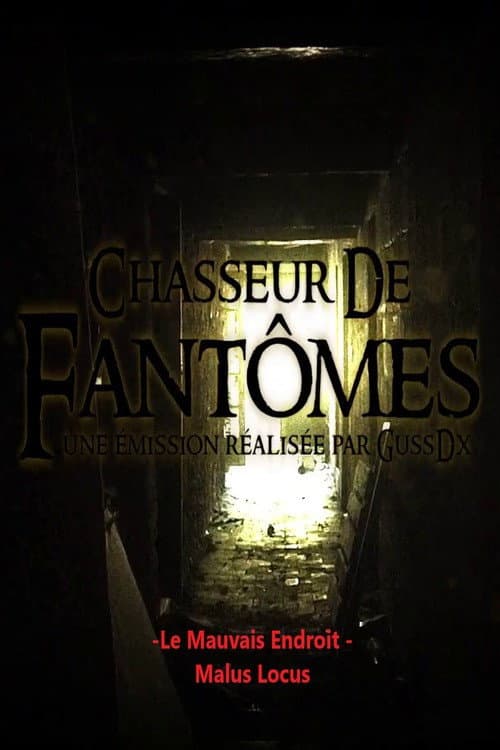 Chasseur de Fantômes : LE MAUVAIS ENDROIT / malus locus poster