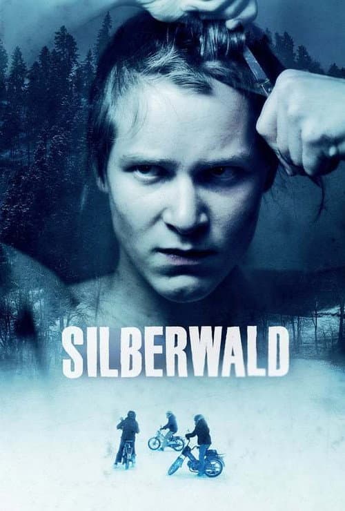 Silver Forest poster