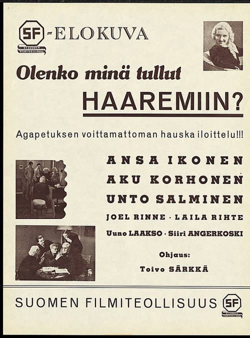 Olenko minä tullut haaremiin poster