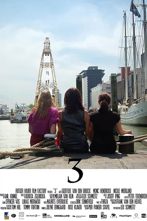 3 poster