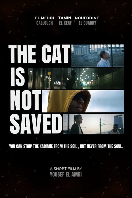 The cat is not saved poster