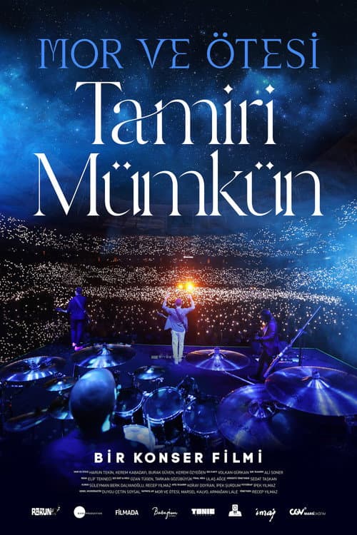 Mor ve Ötesi: Tamiri Mümkün poster