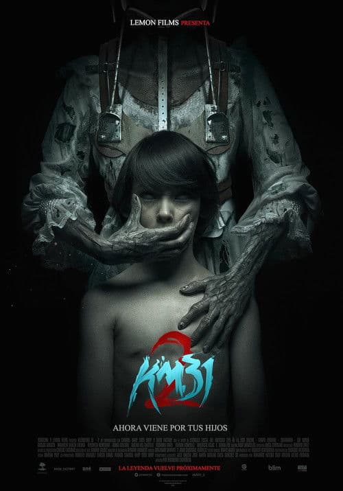Km 31-2 poster