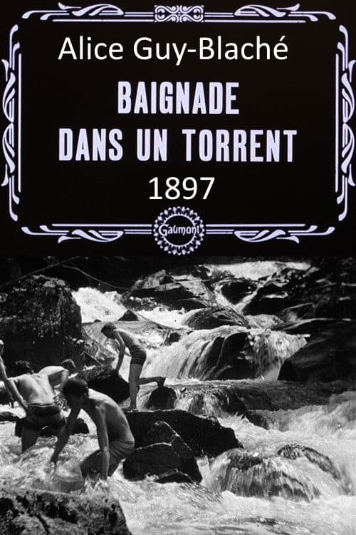 Bathing in a Stream poster