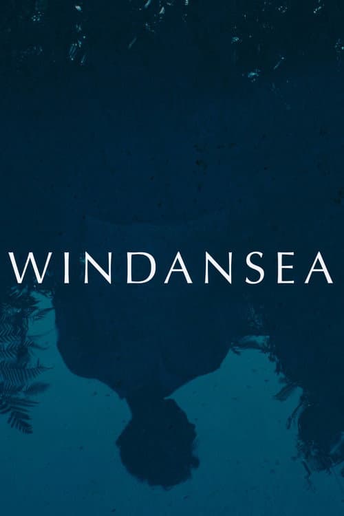 Windansea poster