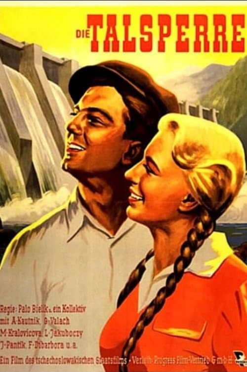 Priehrada poster