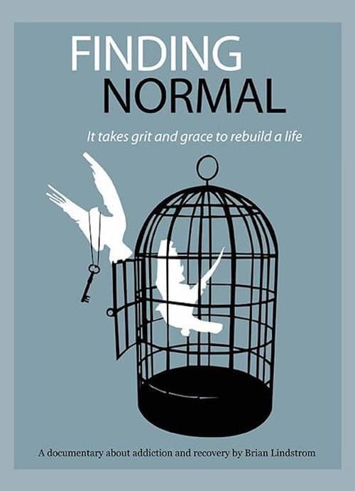 Finding Normal poster
