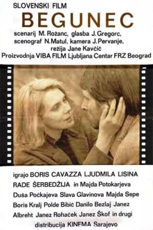 The Fugitive poster