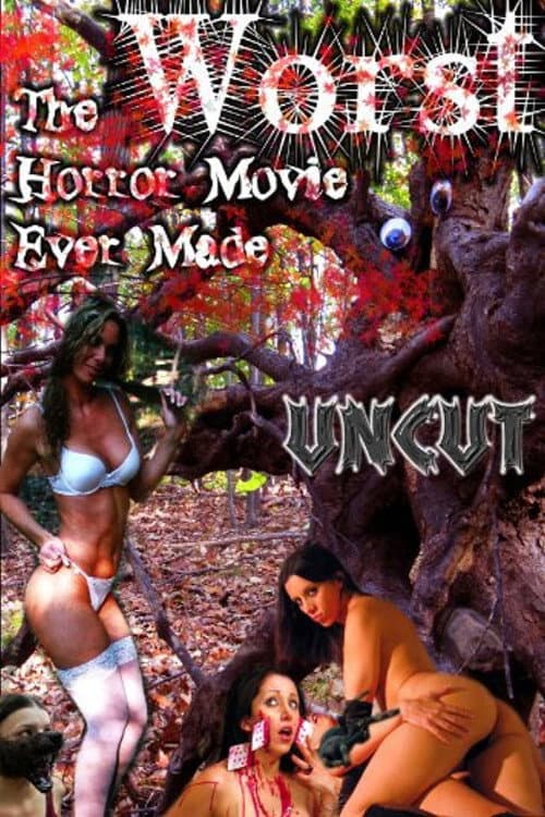 The Worst Horror Movie Ever Made: The Re-Make poster