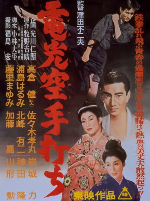 Lightning Karate Blow poster