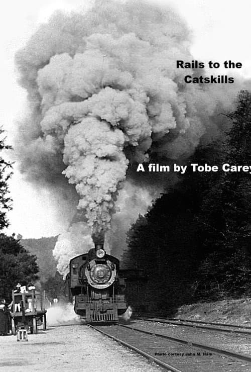 Rails to the Catskills poster