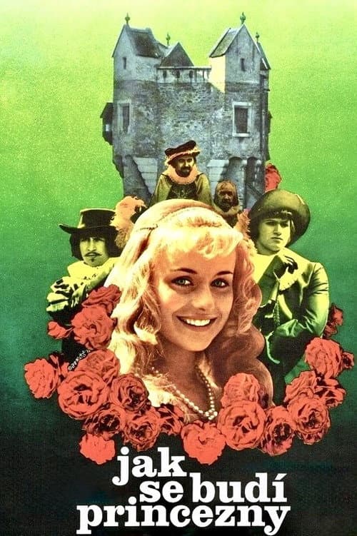 How to Wake a Princess poster