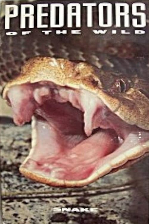 Predators of the Wild: Snake poster