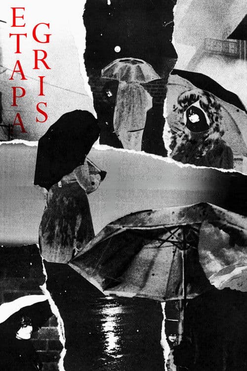 Gray Stage poster
