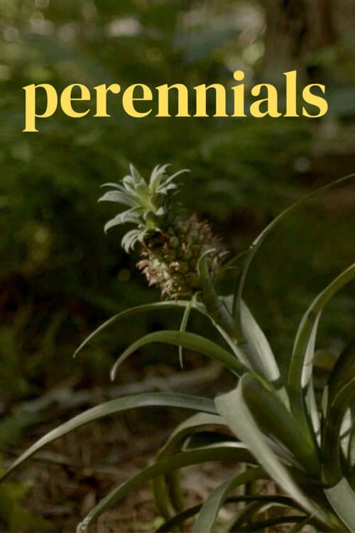 perennials poster