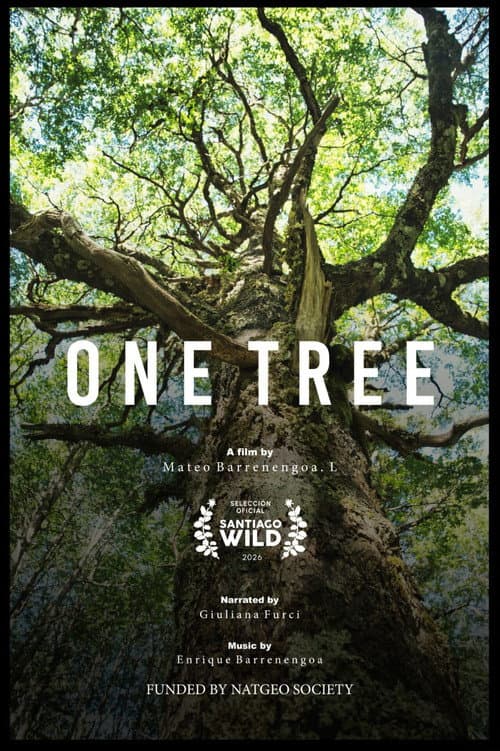 Un Árbol poster
