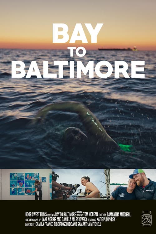 Bay to Baltimore poster
