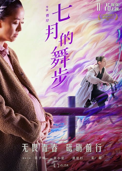 Fairy Dance poster
