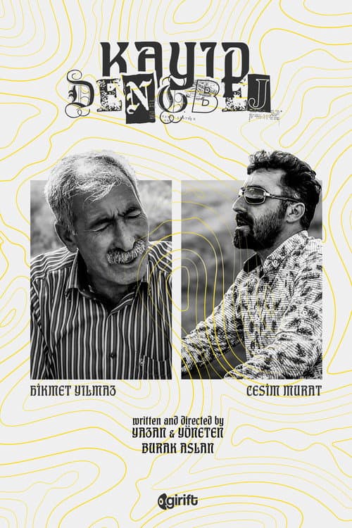 Lost: Dengbej poster