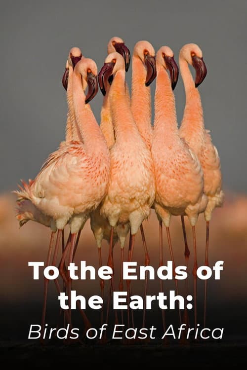 To the Ends of the Earth: Birds of East Africa poster