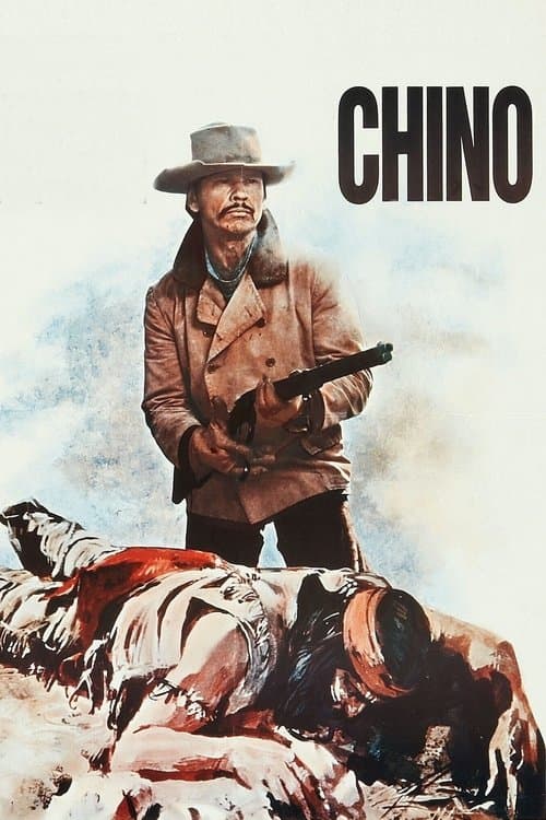 The Valdez Horses poster
