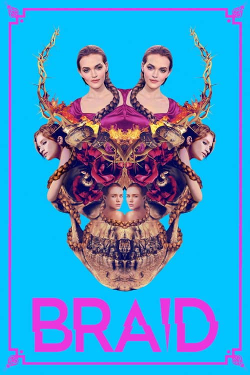 Braid poster