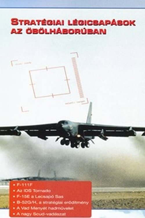 Combat in the Air - Strategic Air Power in the Gulf poster