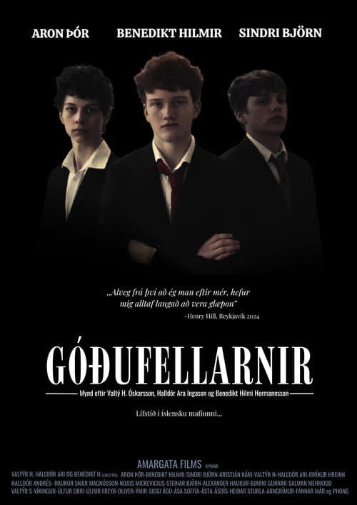 Góðufellarnir poster