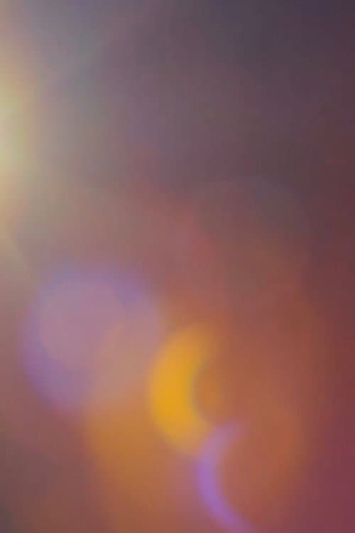 Polly One poster