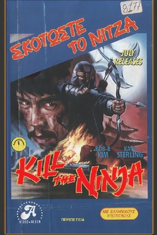 Mortal Battle poster