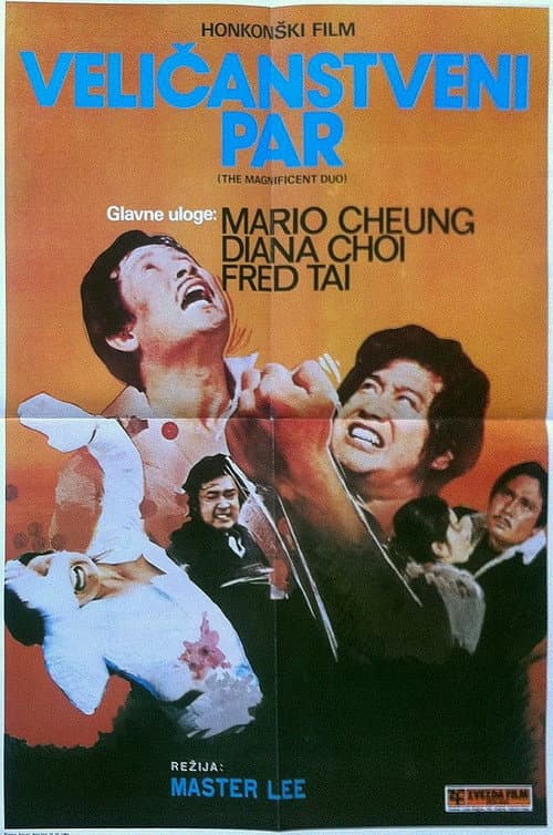 The Magnificent Duo poster