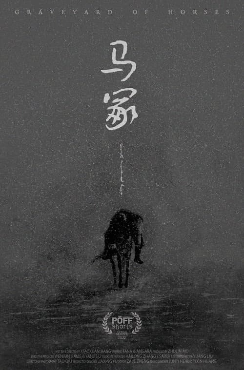 Graveyard of Horses poster