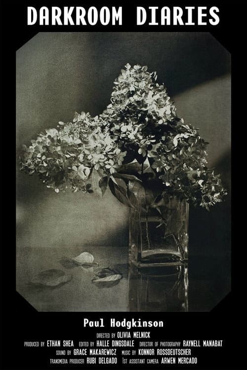 Darkroom Diaries poster
