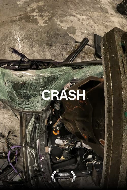 CRASH poster