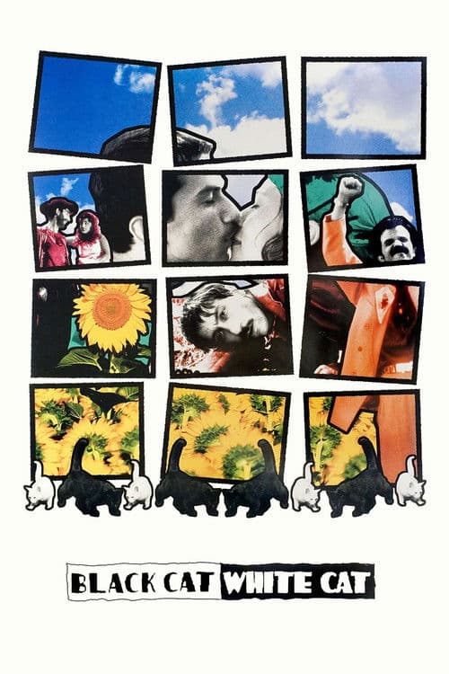 Black Cat, White Cat poster
