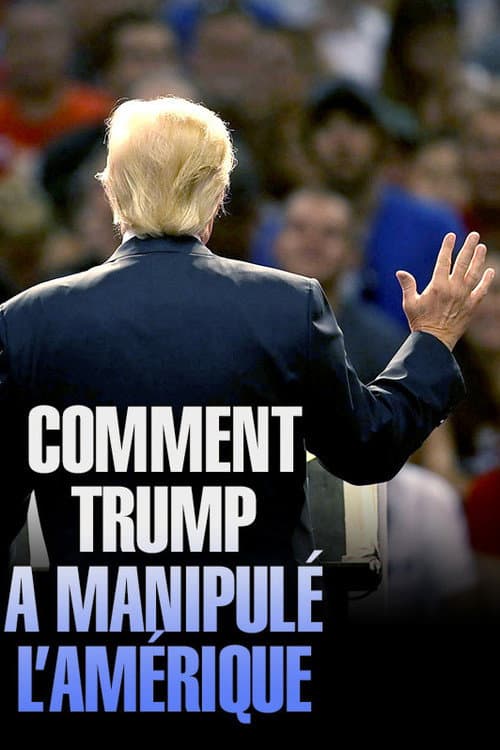 Fake America Great Again poster