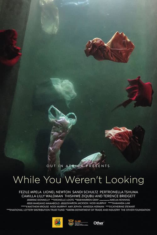While You Weren't Looking poster