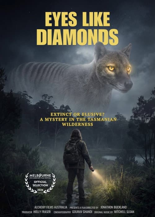 Eyes Like Diamonds poster