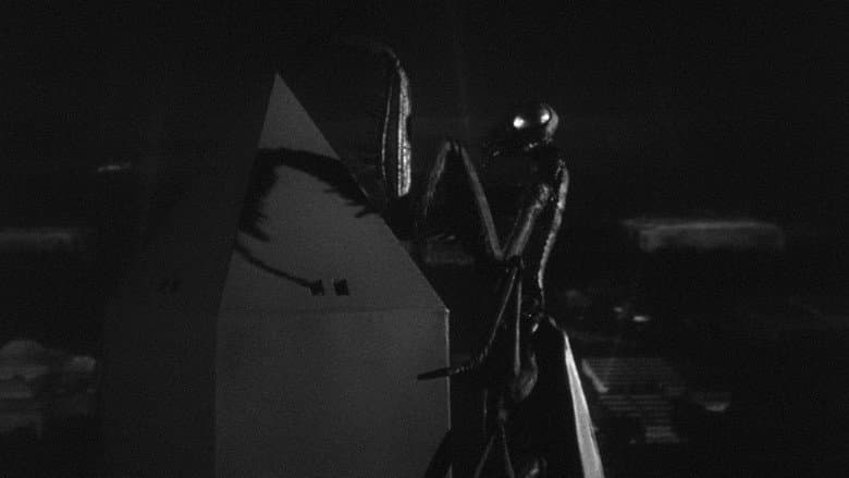 The Deadly Mantis still