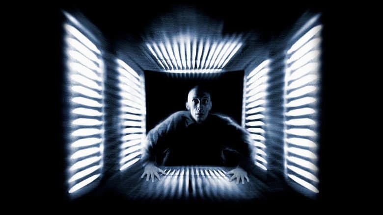 Cube still