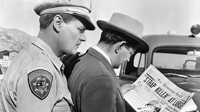 Highway Dragnet still