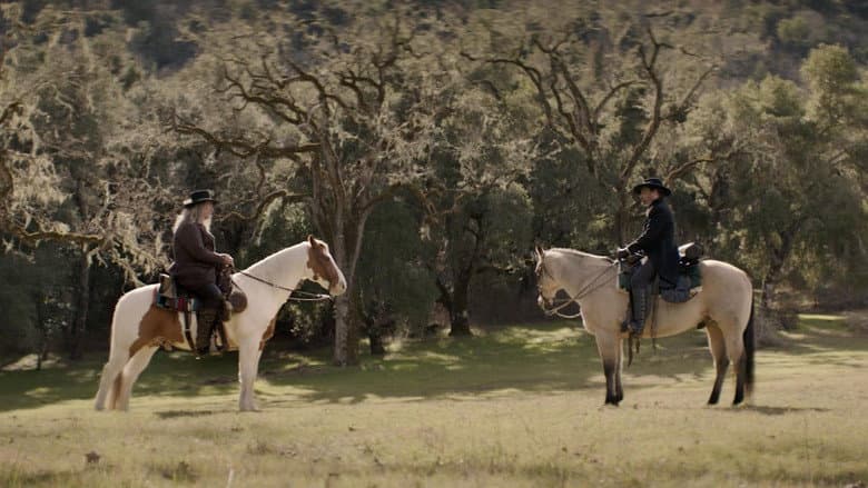 The Mediator still