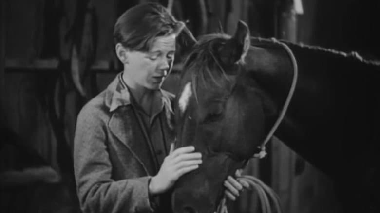 Two Thoroughbreds still